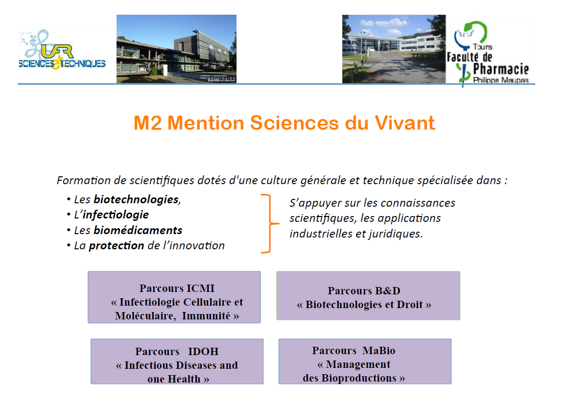 Faculté de pharmacie - Le Parcours Recherche