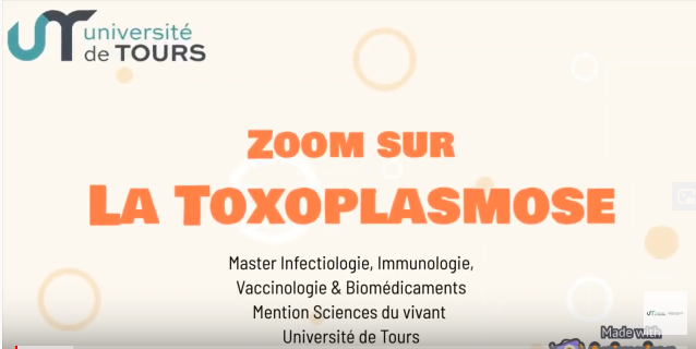 Toxoplasmose